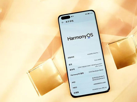 彩运网(中国)官方网站